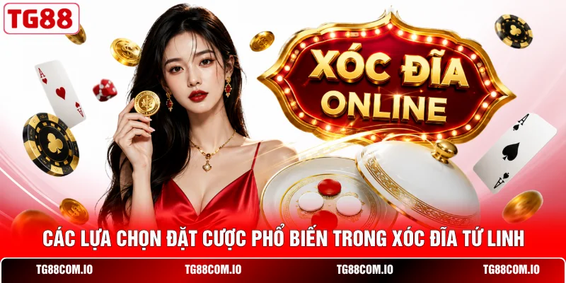 Các lựa chọn đặt cược phổ biến trong xóc đĩa Tứ Linh 