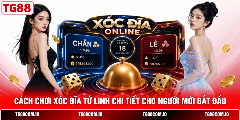 Cách chơi xóc đĩa Tứ Linh chi tiết cho người mới bắt đầu 