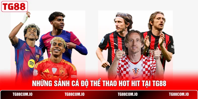 Những sảnh cá độ thể thao hot hit tại TG88